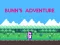 Spil Bunn's Adventure online