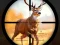 Spil Wild Hunting Clash online