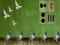 Spil Pigeon Escape 2 online