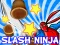 Spil Slash Ninja online