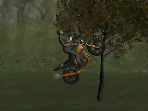 Spil Mountain Bike Rider online
