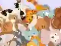 Spil Find The Kitty online
