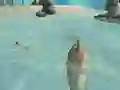 Spil Shark Simulator Beach Killer online