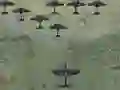 Spil Wings Of Glory online