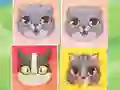 Spil Kitten Match online