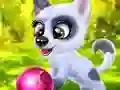 Spil Happy Dog online
