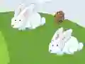 Spil Crazy Eggs online