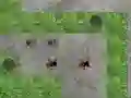 Spil Spider Tower Defence online