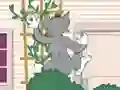 Spil Tom und Jerry: Wasserbomben Wahnsinn online