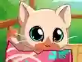 Spil My Pocket Pets Kitty Cat online