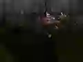 Spil Zombie Survival online
