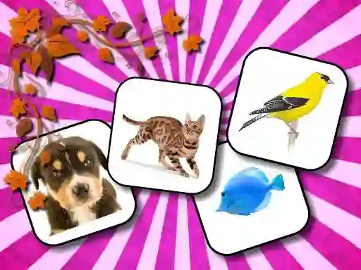 Spil Animals Memory online
