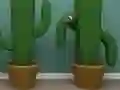 Spil Cactus Cube online