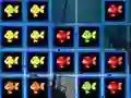 Spil 1010 Fish Blocks online