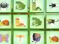 Spil Find The Insect online