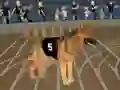 Spil Crazy Dog Racing Fever online