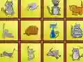 Spil Cats Findiff online