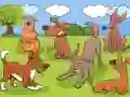 Spil Animals Differences online