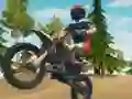 Spil Dirt Bike Enduro Racing online