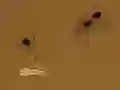 Spil Save the crumb online