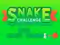 Spil Snake Challenge online