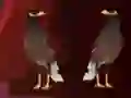 Spil Peikin Duck Escape online