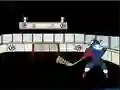 Spil Capitaine Cage Hockey online