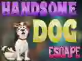 Spil Handsome Dog Escape online