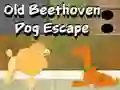 Spil Old Beethoven Dog Escape online