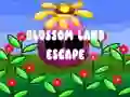 Spil Blossom Land Escape online
