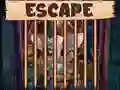 Spil Beautiful Little Bat Escape online