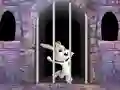 Spil Victory Rabbit Escape online