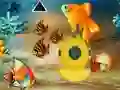 Spil Save The Mother Fish online