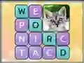 Spil Word Search Pictures online