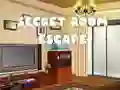 Spil Secret Room Escape online