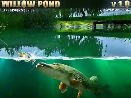 Spil Willow Pond online