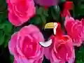 Spil Precious Rose Escape online