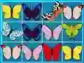 Spil King Of Mahjong online