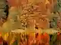Spil Sliding Puzzle online