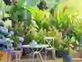 Spil Find The Cute Pandas online
