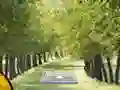 Spil Pair of Cat Escape online