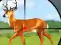 Spil Wild Hunt Hunting Games 3D online
