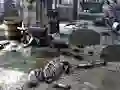 Spil Friends Rescue From Skeleton online