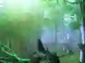 Spil Trapped Honeybee Escape online