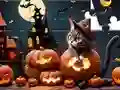 Spil Jigsaw Puzzle: Halloween Cat online