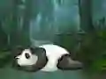 Spil Wakeup The Sleeping Panda online