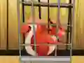 Spil Rescue The Red Squirrel From Cage online