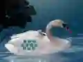 Spil Save The Swan Mother Child online