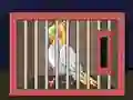 Spil Release The Cockatiel Bird online