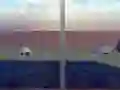 Spil Escape from the House with Turtles online